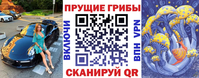 Псилоцибиновые грибы прущие грибы  Славгород 