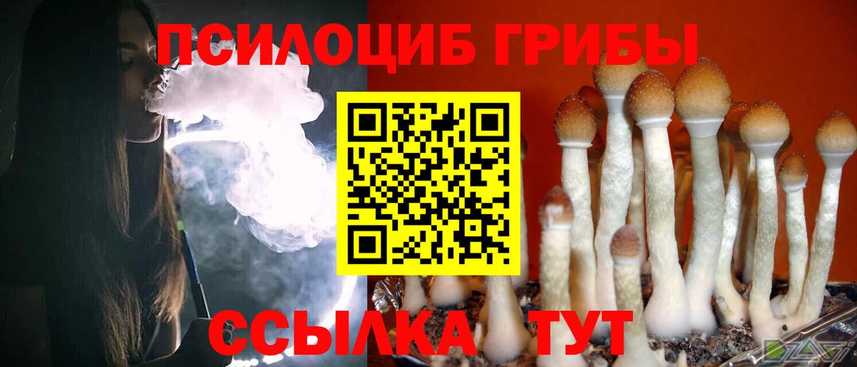 Галлюциногенные грибы прущие грибы  Вход с VPN  Псилоцибиновые грибы MAGIC MUSHROOMS  где купить наркоту  Славгород 